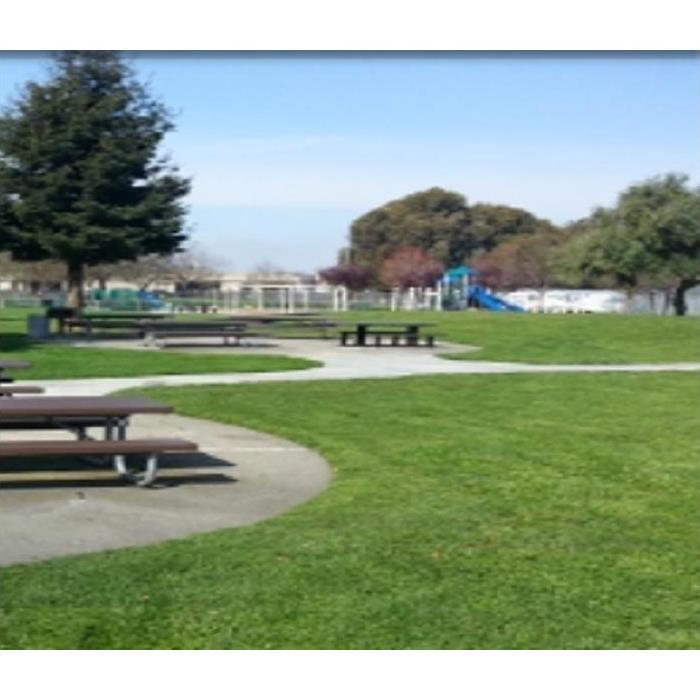 city park; houses and picnic tables in view