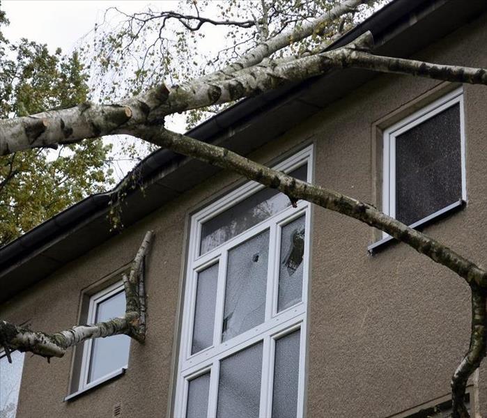 Fallen tree branches damaging roof and window of house